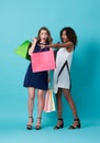 Portrait of two excited young woman hand holding shopping bag and with her finger pointing at copy space over blue background Royalty Free Stock Photo