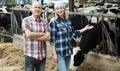 Portrait of two farmers near cows barn