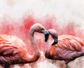 Portrait of two Flamingos, watercolor painting. Red flamingos Phoenicopterus ruber, zoological illustration, hand drawing