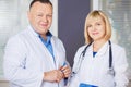 Portrait of two happy mature doctors. Royalty Free Stock Photo