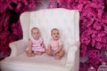 portrait of two little twin sisters in the interior of the house Royalty Free Stock Photo