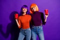 Portrait of two nice attractive lovely pretty cheerful cheery friendly girls wearing wigs drinking beer having fun Royalty Free Stock Photo