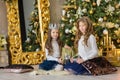 Portrait of two one young girls sisters close to white green Christmas tree. The girls in beautiful evening dresses clothes in New Royalty Free Stock Photo
