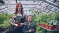 Portrait of two people attractive mother and cute daughter gardeners in aprons standing inside greenhouse and holding Royalty Free Stock Photo