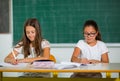 Portrait of two schoolgirls in a classroom. Royalty Free Stock Photo