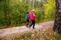 Senior ladies nordic walking Royalty Free Stock Photo