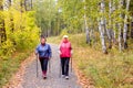 Senior ladies nordic walking Royalty Free Stock Photo