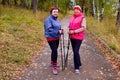 Senior ladies nordic walking Royalty Free Stock Photo