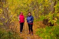 Senior ladies nordic walking Royalty Free Stock Photo