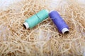 Portrait of two sewing thread with needle on the rafi grass Royalty Free Stock Photo