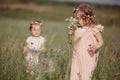 Portrait of two sisters with bouquets of wildflowers. On a warm day, two girls in dresses. Cheerful little daughters are having Royalty Free Stock Photo