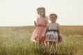 Portrait of two sisters with bouquets of wildflowers. On a warm day, two girls in dresses. Cheerful little daughters are having Royalty Free Stock Photo
