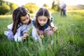 Portrait of two small girls standing outdoors in spring nature, picking flowers. Royalty Free Stock Photo