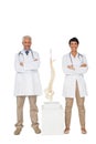 Portrait of two smiling doctors with skeleton model