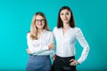 Portrait of two women in office clothes. Cute attractive businesswomen. Team of two smiling businesswomen posing. two young women Royalty Free Stock Photo