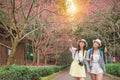 Portrait of two young female friends Royalty Free Stock Photo