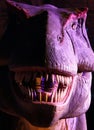 Portrait of a Tyrannosaurus in the dark at the exhibition City of Dinosaurs