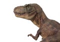 Portrait of a Tyrannosaurus rex isolated on white background
