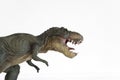 Portrait of a tyrannosaurus rex on white background