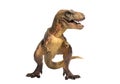 A portrait of a Tyrannosaurus rex on white background Royalty Free Stock Photo