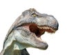 Portrait of a tyrannosaurus rex on white background