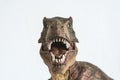 Portrait of a tyrannosaurus rex on white background