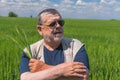 Portrait of Ukrainian senior farmer standing inside unripe crops field and taking several spikelets