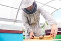 Young Beekeeper in Apiary