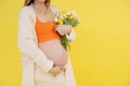 Portrait of unrecognizable pregnant woman wear orange top, beige cardigan, trousers, holding bunch of colorful tulips. Royalty Free Stock Photo