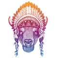 Portrait of vector bull, bison, buffallo. Animal wearing traditional indian headdress with feathers. Tribal style Royalty Free Stock Photo