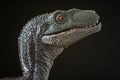Portrait of a velociraptor on black background Royalty Free Stock Photo