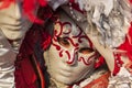 Portrait of a Venetian Mask Royalty Free Stock Photo