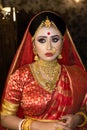 Portrait of very beautiful surprised Indian bride closeup. Concept of human emotions Royalty Free Stock Photo