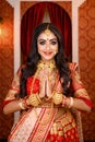 Portrait of very beautiful young Indian lady in luxurious costume with makeup and heavy jewellery posing fashionable in studio Royalty Free Stock Photo