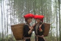 Portrait of Vietnamese ethnic minority Red Dao women in traditional dress and basket on back in misty bamboo forest in Lao Cai,