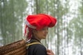 Portrait of Vietnamese ethnic minority Red Dao women in traditional dress and basket on back in misty bamboo forest in Lao Cai, Royalty Free Stock Photo