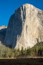A portrait view of the amazing El Capitan from the canyon floor at Yosemite National Park, USA against a beautiful bright blue sky Royalty Free Stock Photo