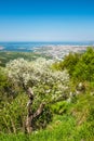 Portrait view from castle Socerb to bay of city Triest Royalty Free Stock Photo