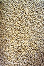 Portrait view of Chicken feed pellets, close up of granulated poultry food texture