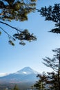 Portrait view of Mount Fuji in the late afternoon from Kawaguchiko Ropeway trails in autumn. Royalty Free Stock Photo