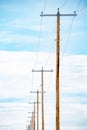 Portrait view of a row of telephone poles made of wood with cables isolated against a blue sky background in North America Royalty Free Stock Photo