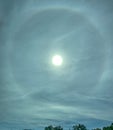 Portrait view of stunning sun halo over tree-lined landscape.