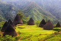 portrait of wae rebo village, flores.