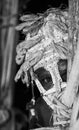 Portrait of a Warrior Asmat tribe in an unusual battle mask.