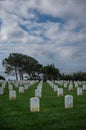 Portrait of white lines, Rosecrans Cemetery, San Diego, CA, USA Royalty Free Stock Photo