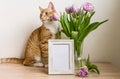 Portrait white picture frame mockup on wooden table. Modern vase with tulips.Scandinavian interior Royalty Free Stock Photo