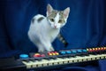 Portrait of white tabby cat standing on piano on blue background