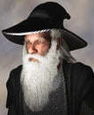 Portrait of a wizard Royalty Free Stock Photo