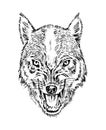 Portrait of wolf. Head and of a wild animal. Angry roar of a predator. Dog face. Badge or emblem Vector illustration