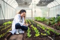 Portrait of Woman agricultural researcher holding tablet while working on research at plantation in industrial greenhouse